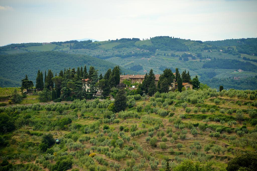 Castellinuzza Villa Greve in Chianti Exteriör bild